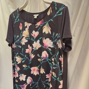 Established 1946 top